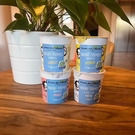 Brit Confort 酒店 蒙托邦